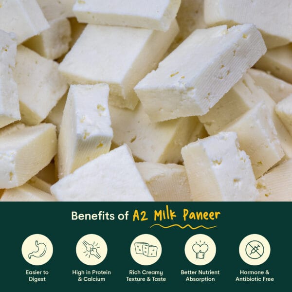 01 Palvin Paneer Whatsapp Catalogue 02