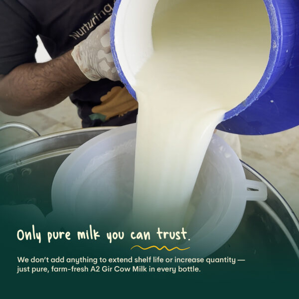 03 Palvin Milk Whatsapp Catalogue 03