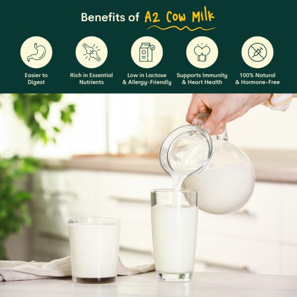 03 Palvin Milk Whatsapp Catalogue 05