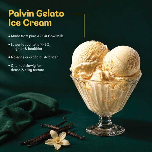 Gelato Ice Cream 2 Palvin Website Gilato Icecream 01 02