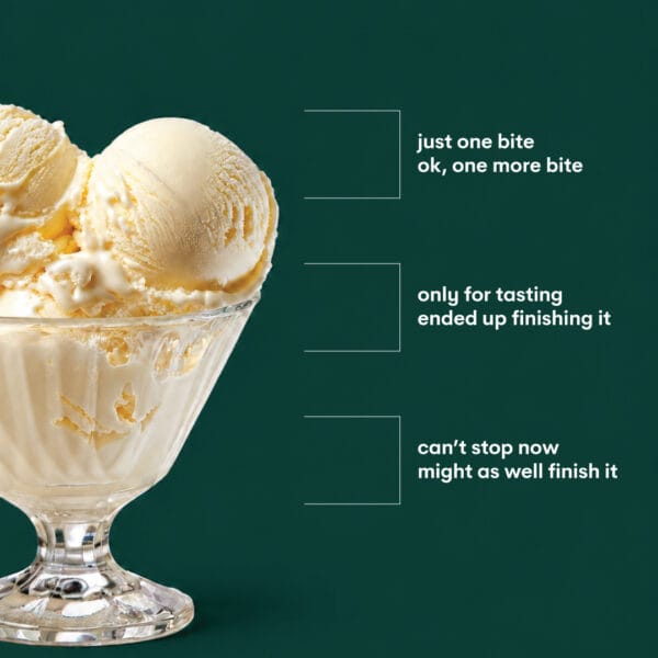 Gelato Ice Cream 3 Palvin Website Gilato Icecream 01 03