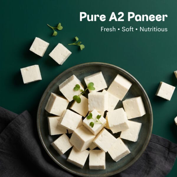 Palvin Website Paneer 01 02