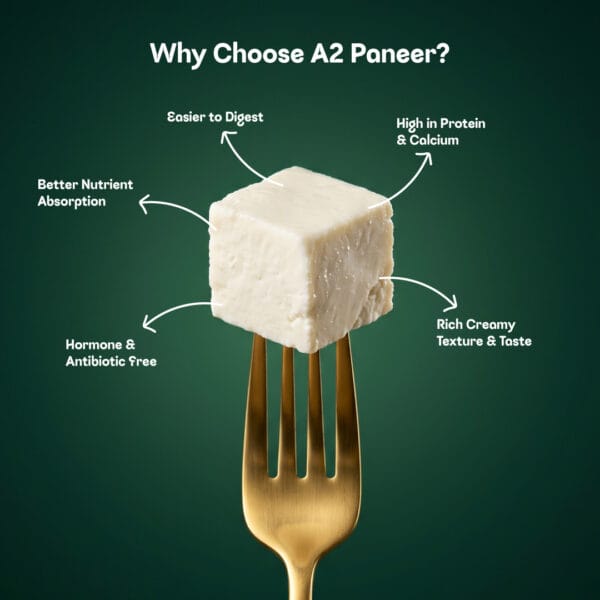 Palvin Website Paneer 01 03
