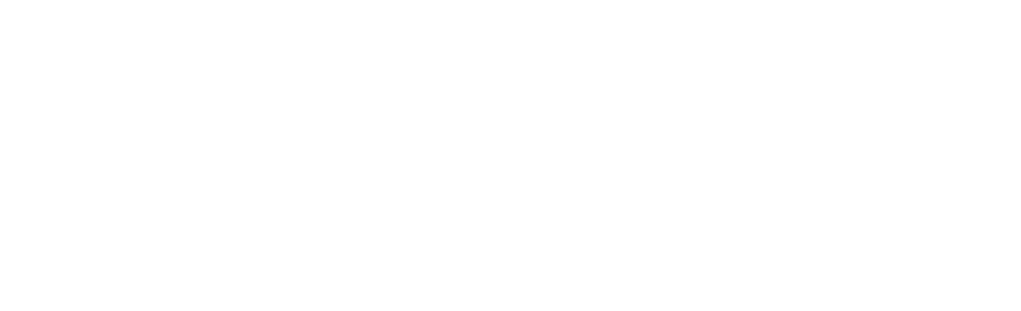 Palvin Organics