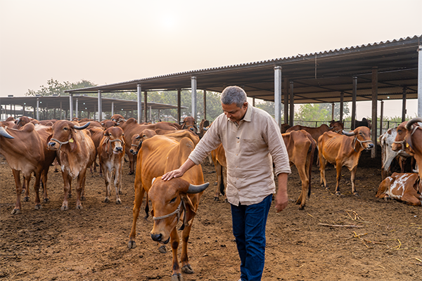 Mindful Eating in a Fast Food World: How Organic Brands Shift the Curve